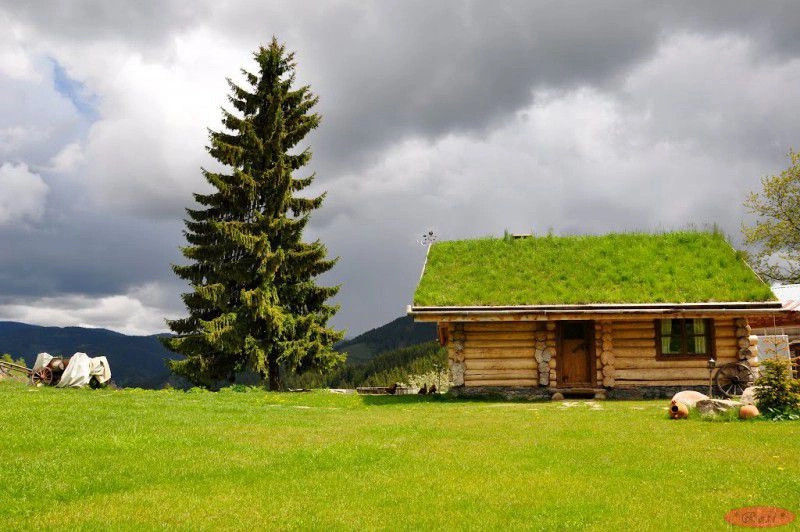 Гела