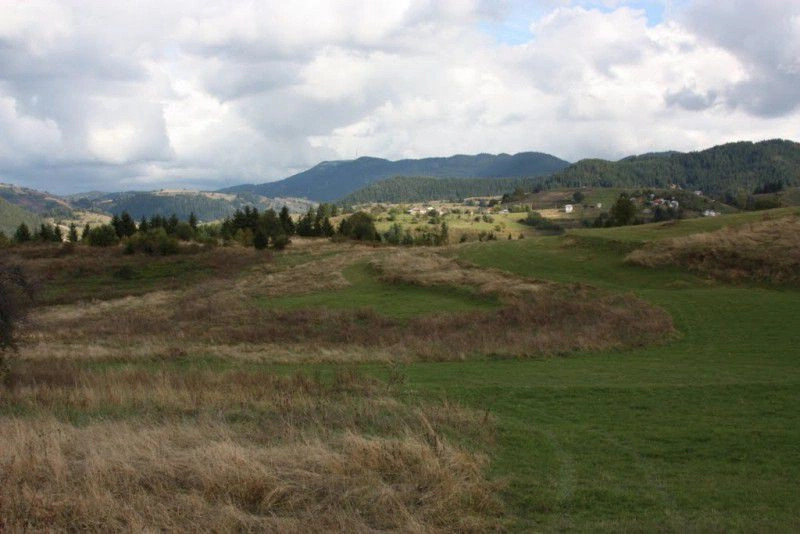 Гела