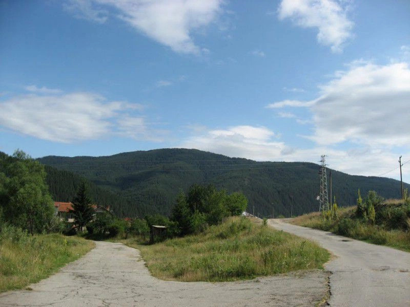 Говедарци