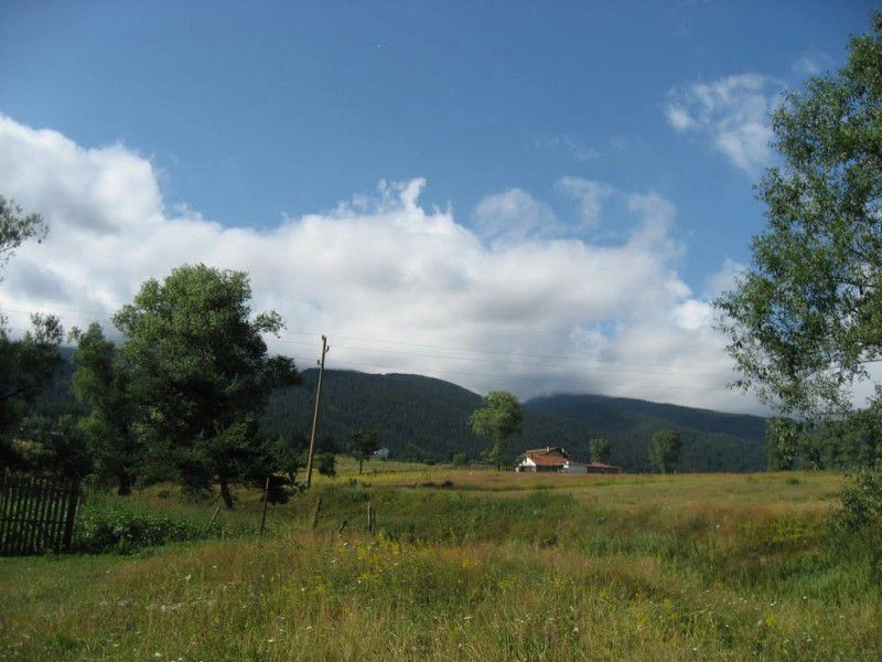 Говедарци