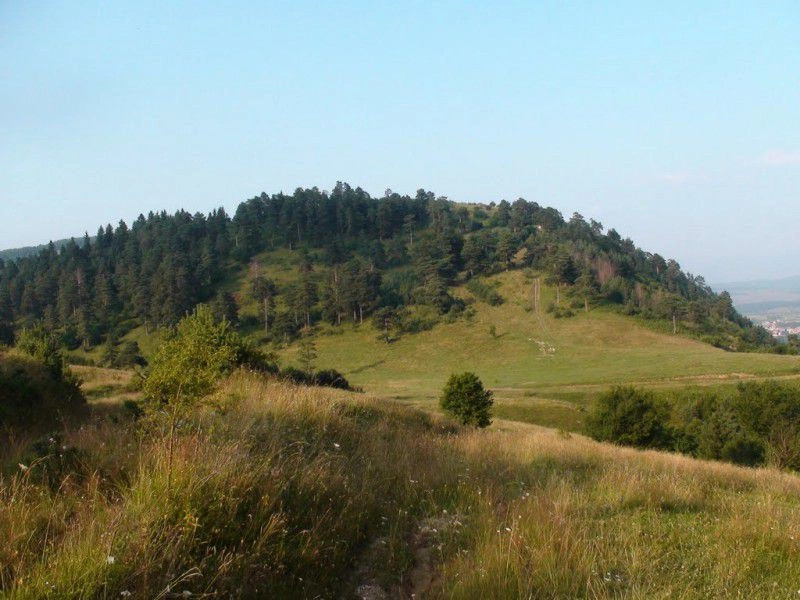 Говедарци
