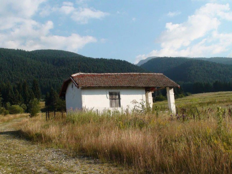 Говедарци