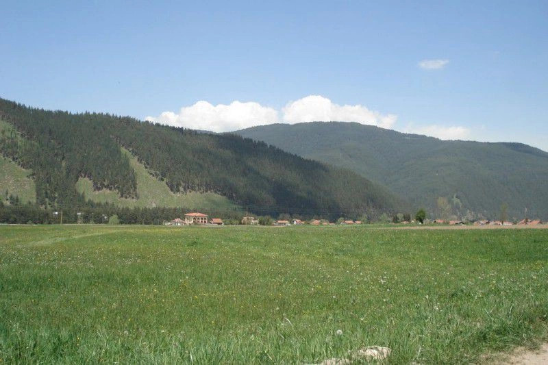 Говедарци