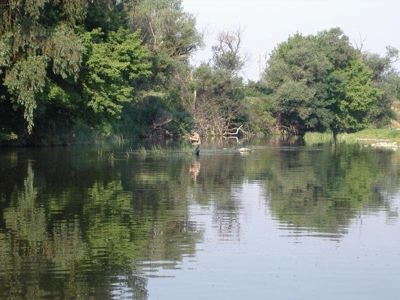 Горна-Оряховица