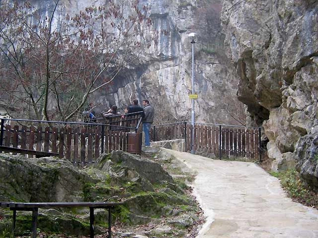 Дряново