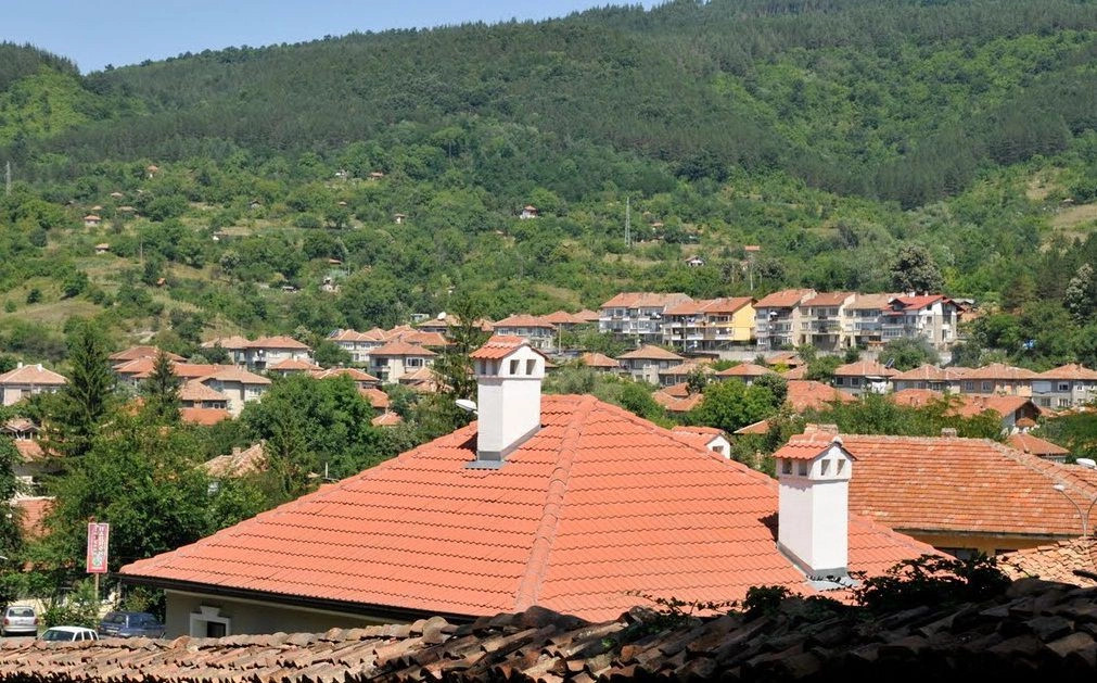Елена