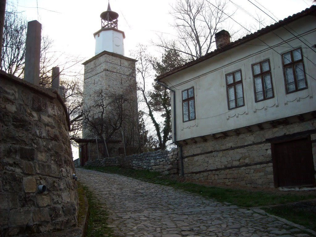 Елена