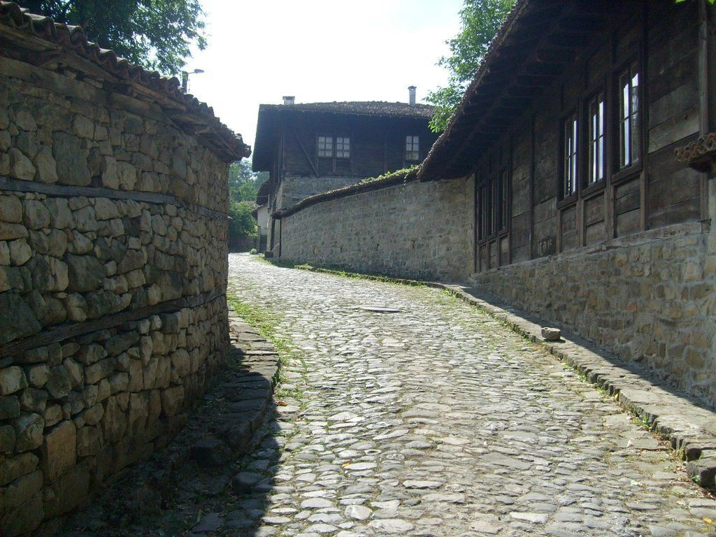 Елена