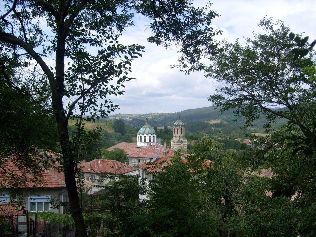 Елена
