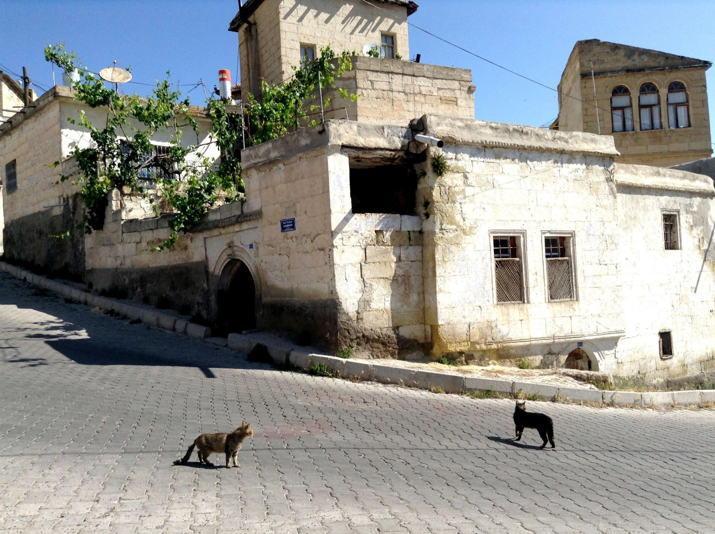 Ортахисар