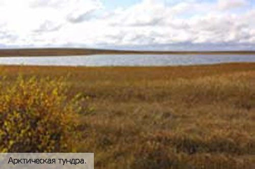 Чукотский АО