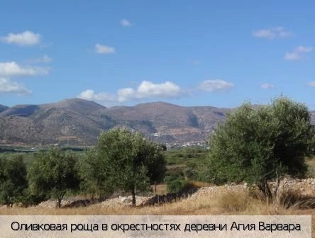 Агия Варвара (Ласити)