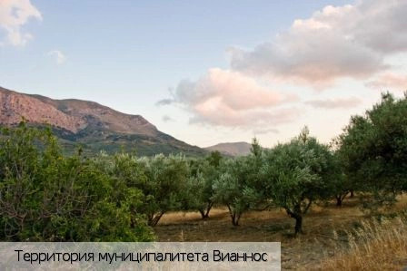 Вианнос