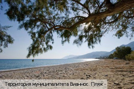 Вианнос