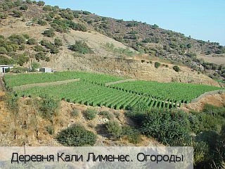 Кали Лименес
