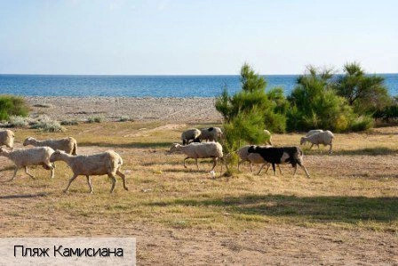 Камисиана