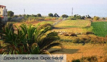 Камисиана