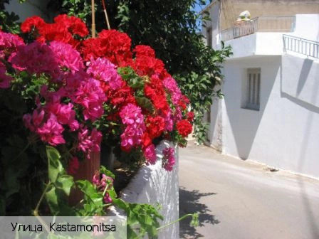 Кастамоница