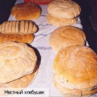 Кастамоница