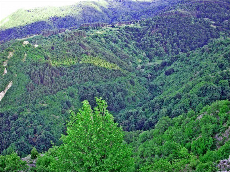 Гоце-Делчев