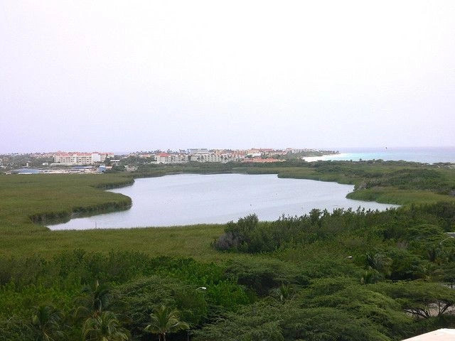 Бубали