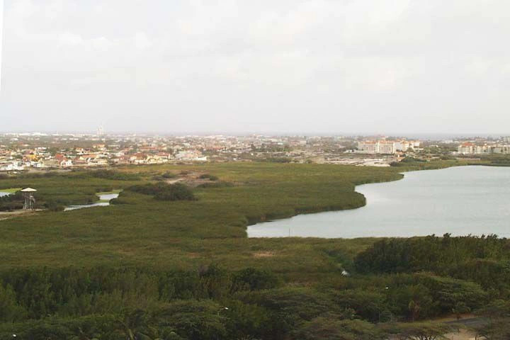 Бубали