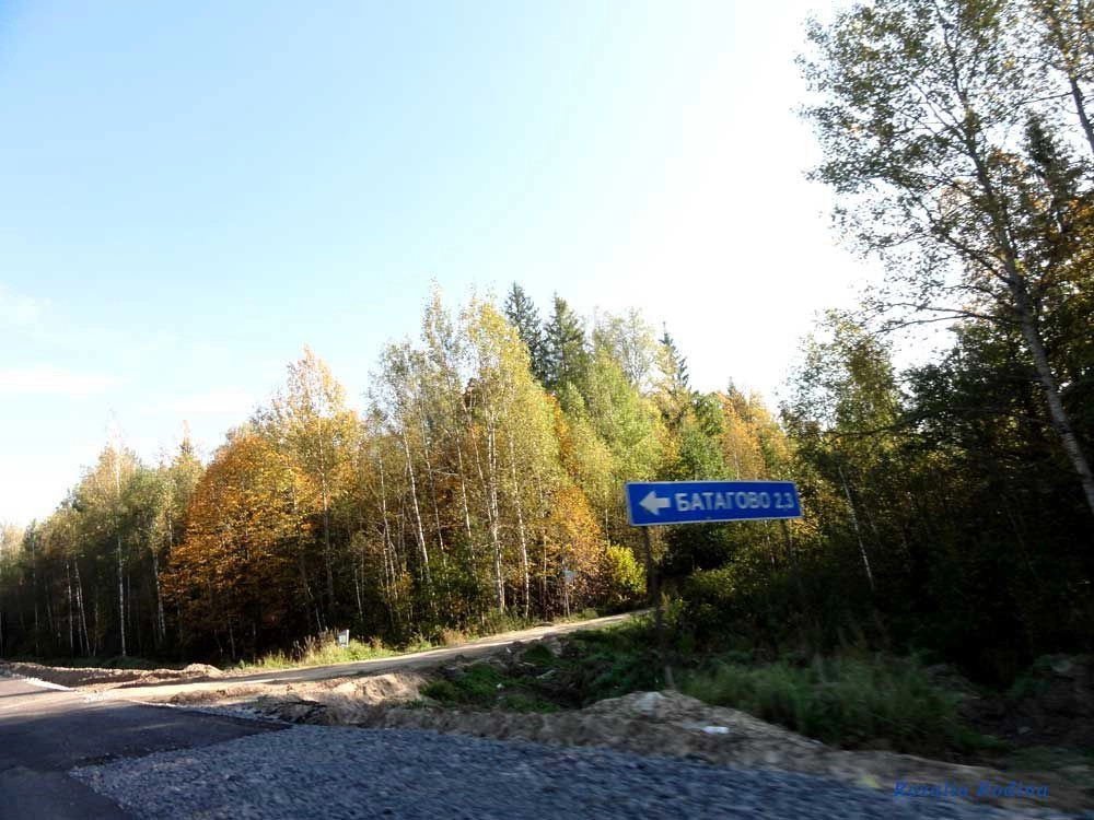 Брянский район