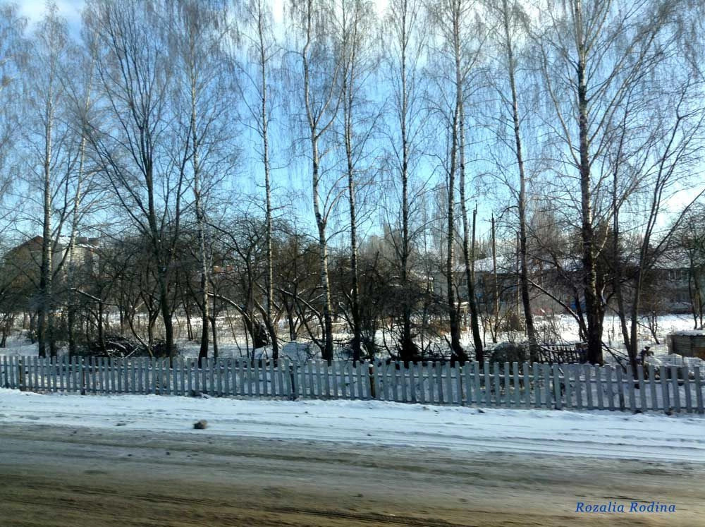 Брянский район
