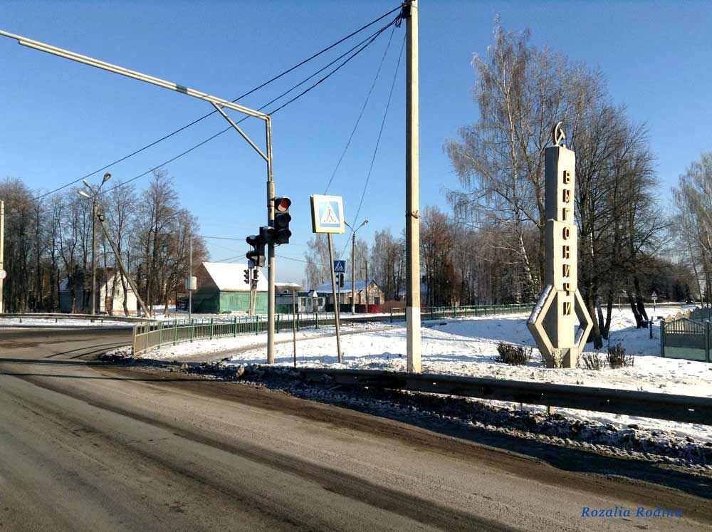Выгоничи село