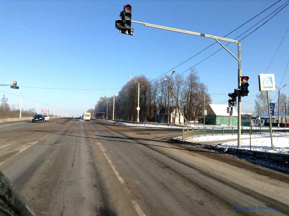 Выгоничи село