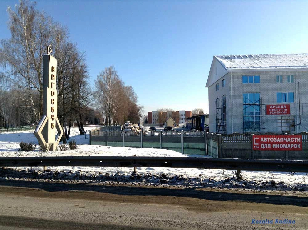 Выгоничи село