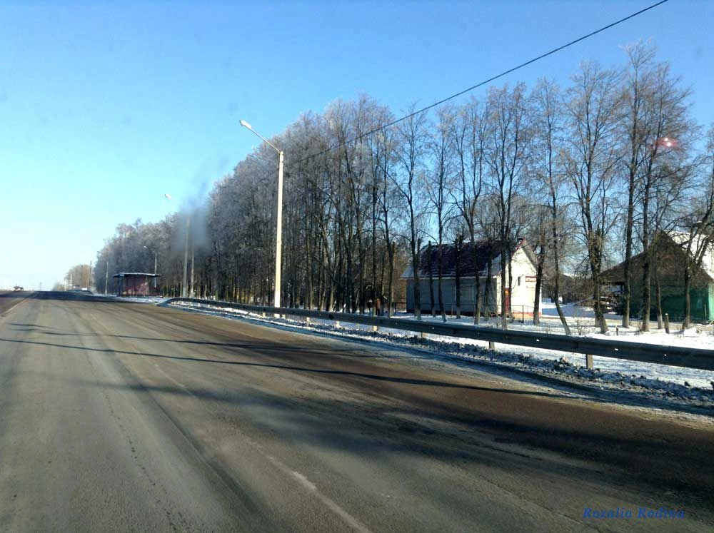 Выгоничи село