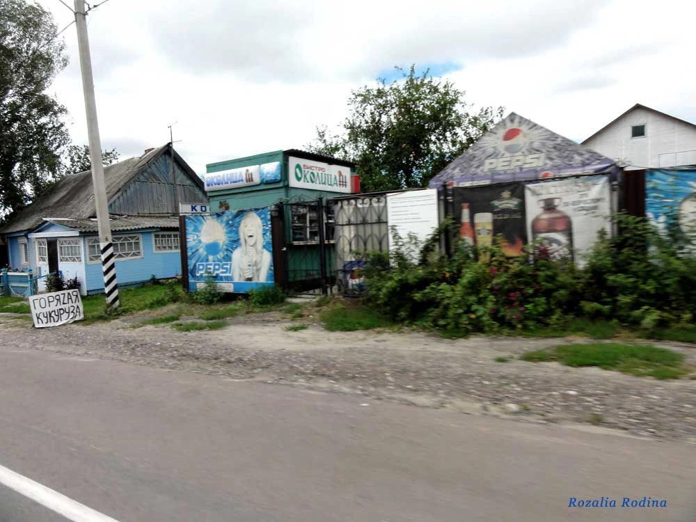 Палужье село