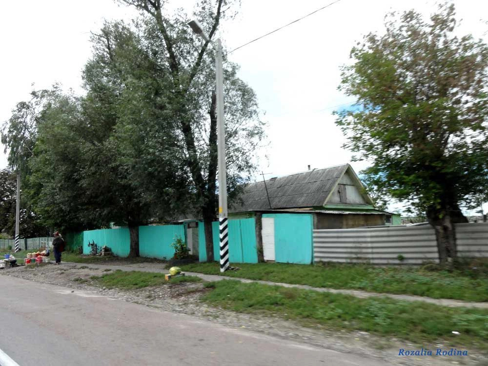 Палужье село