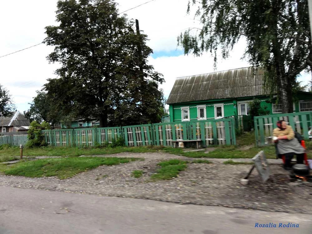Палужье село