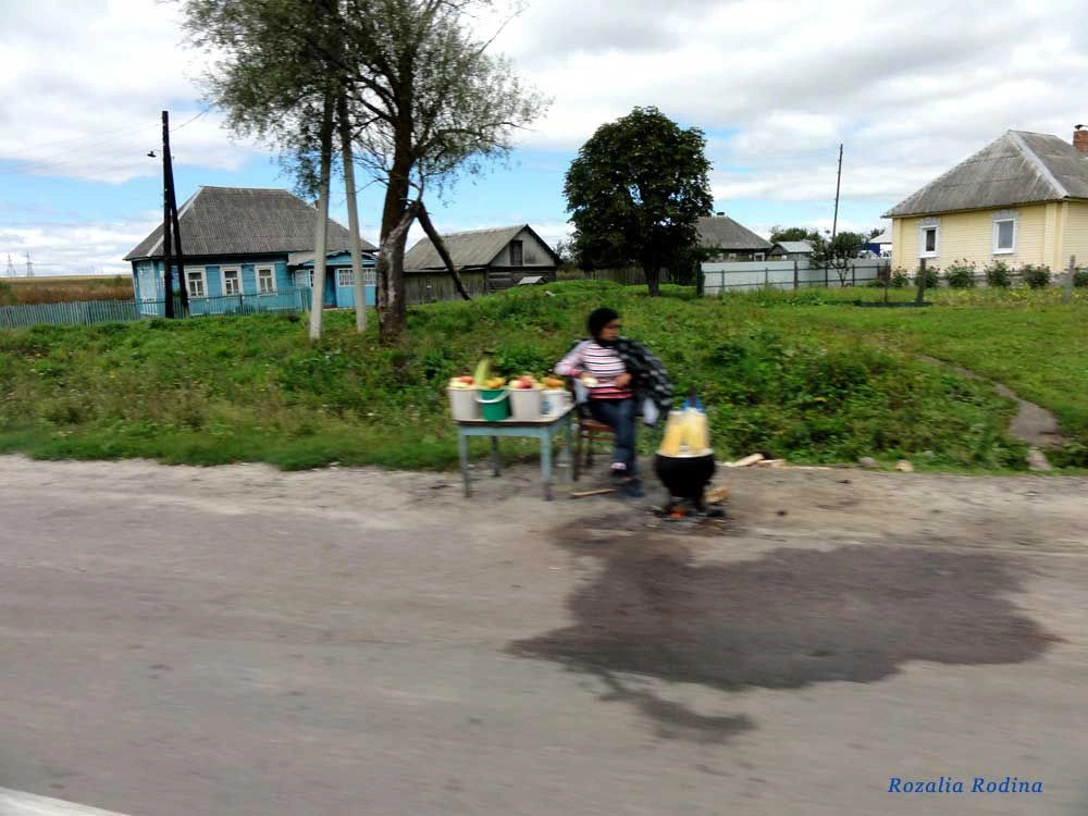 Палужье село