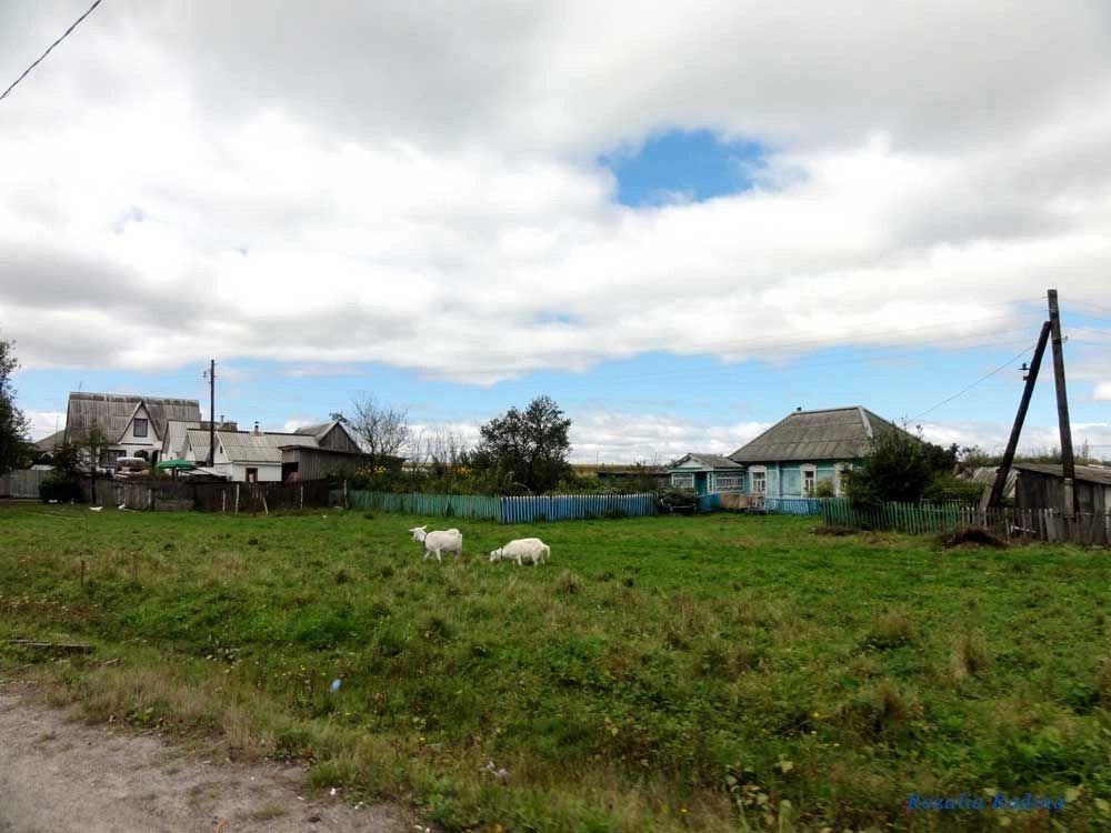 Палужье село