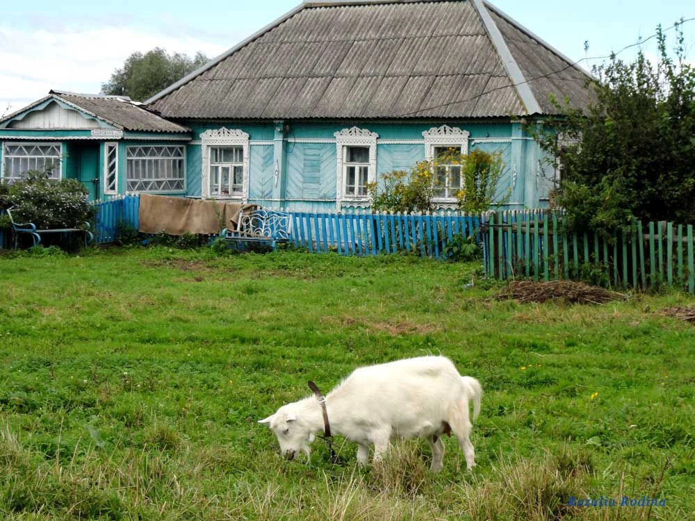 Палужье село