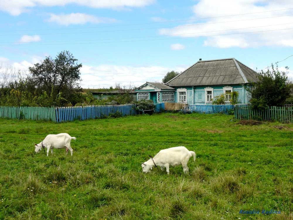 Палужье село