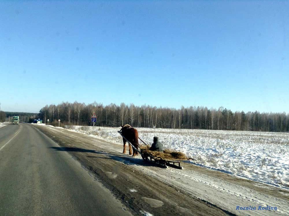 Брянская обл.