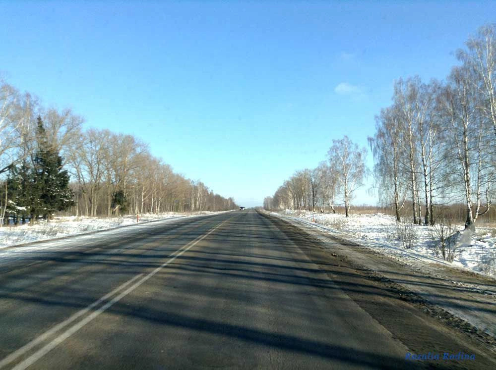Выгоничский район