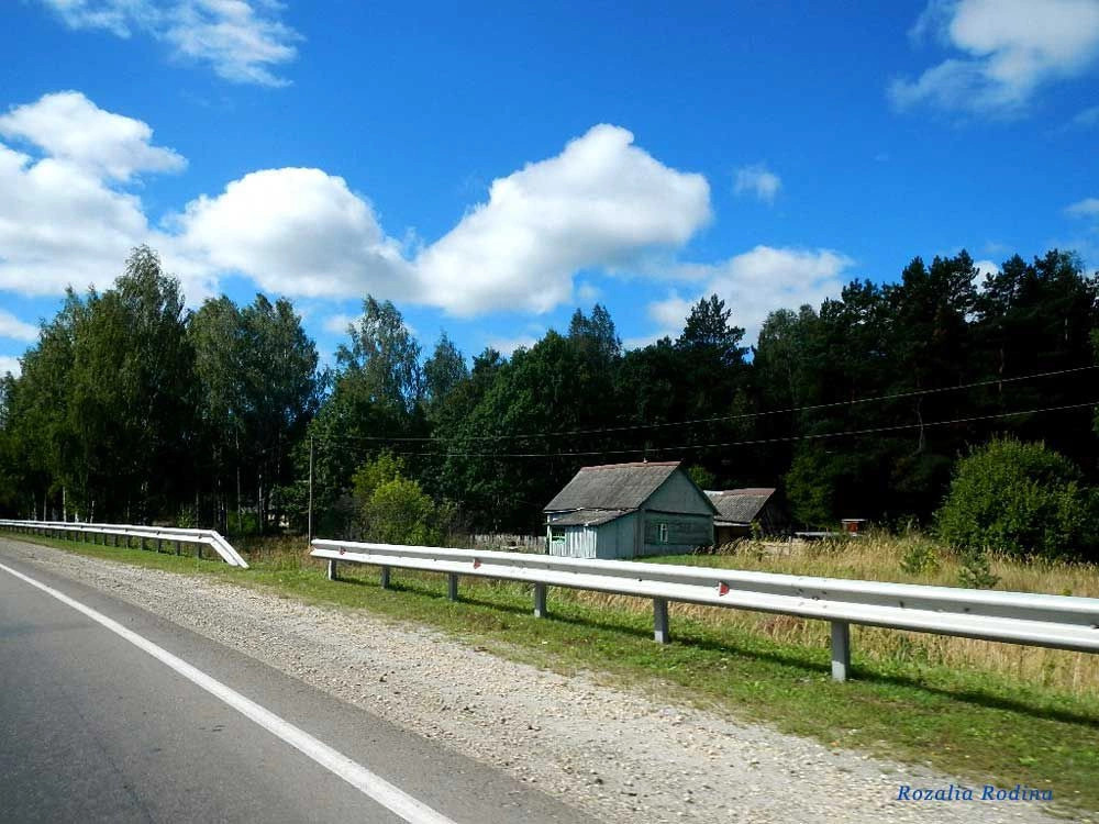 Новониколаевский поселок (Выгоничский р-н)