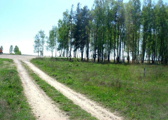 Новониколаевский поселок (Выгоничский р-н)