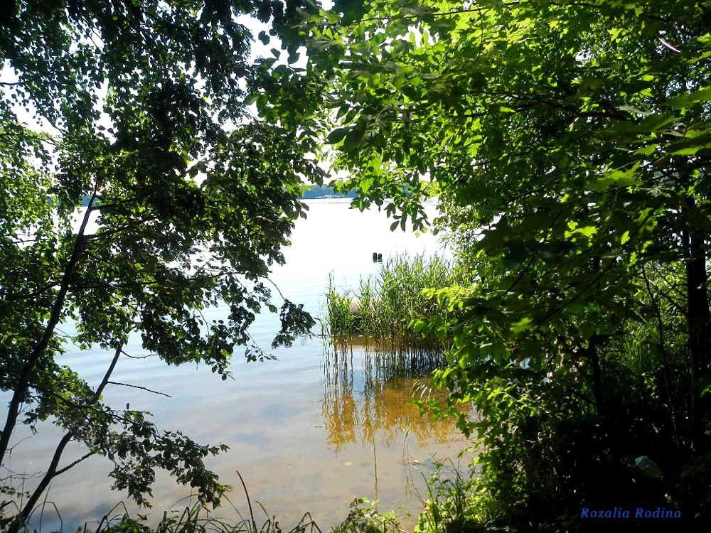 Пестовское водохранилище