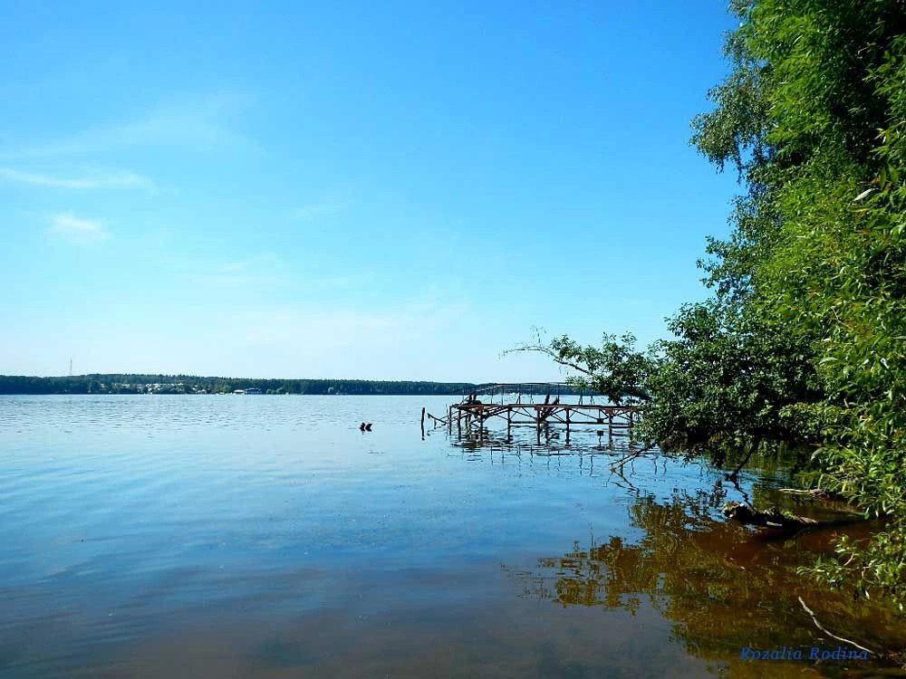 Пестовское водохранилище