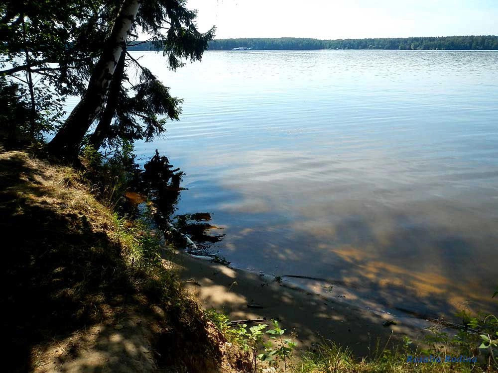 Пестовское водохранилище