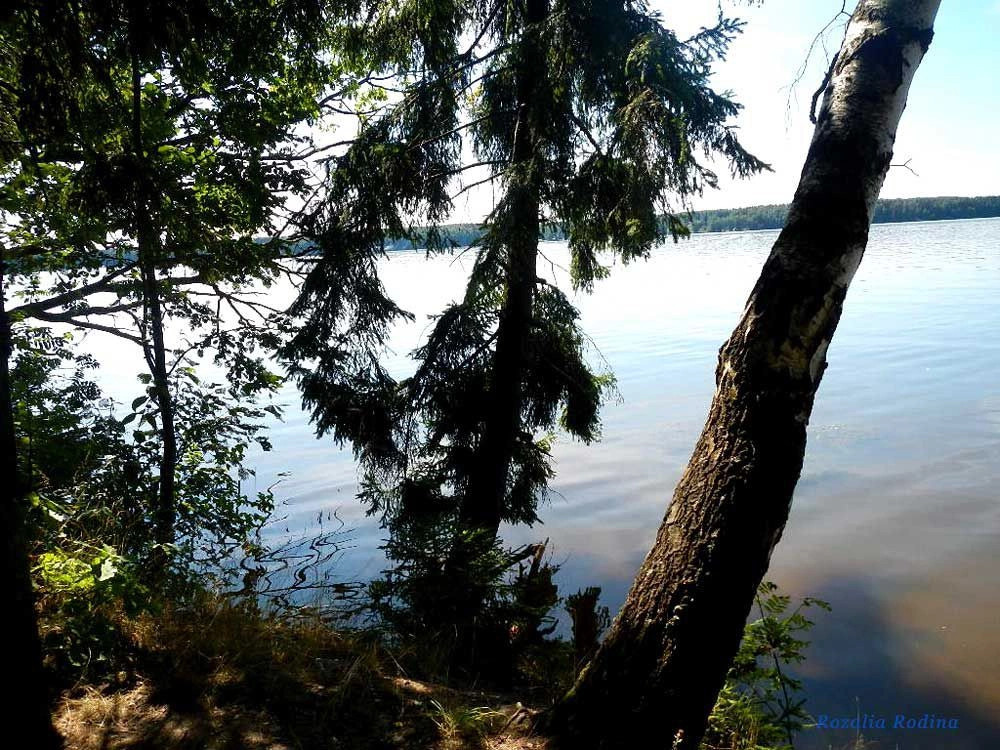Пестовское водохранилище
