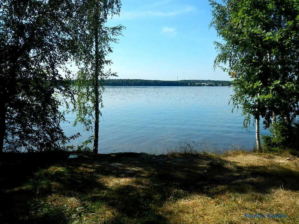 Пестовское водохранилище
