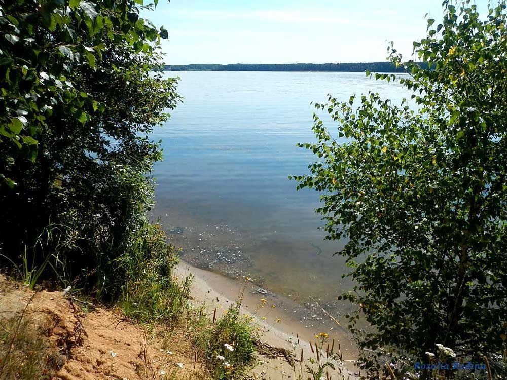 Пестовское водохранилище