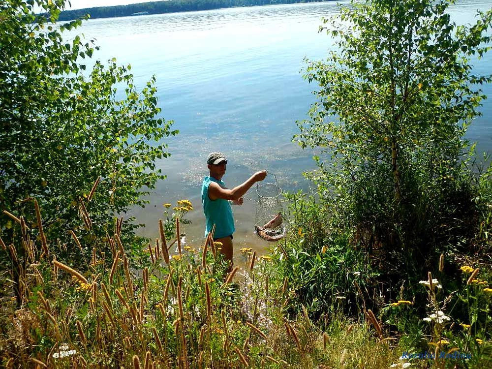 Пестовское водохранилище